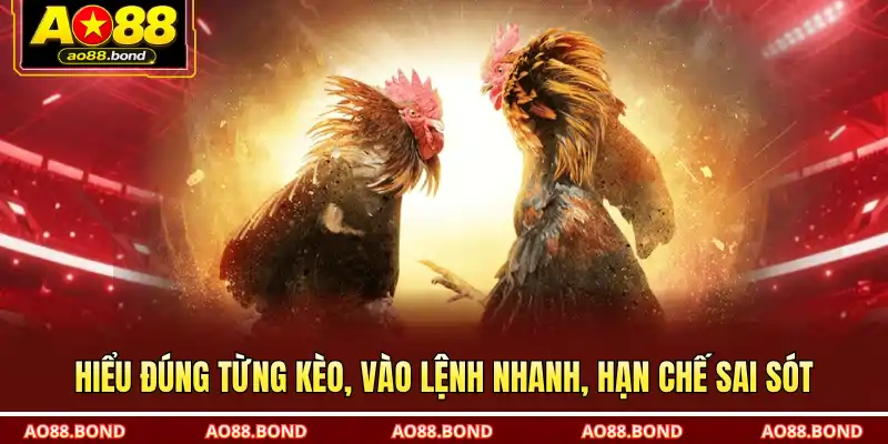 Hiểu đúng từng kèo, vào lệnh nhanh, hạn chế sai sót