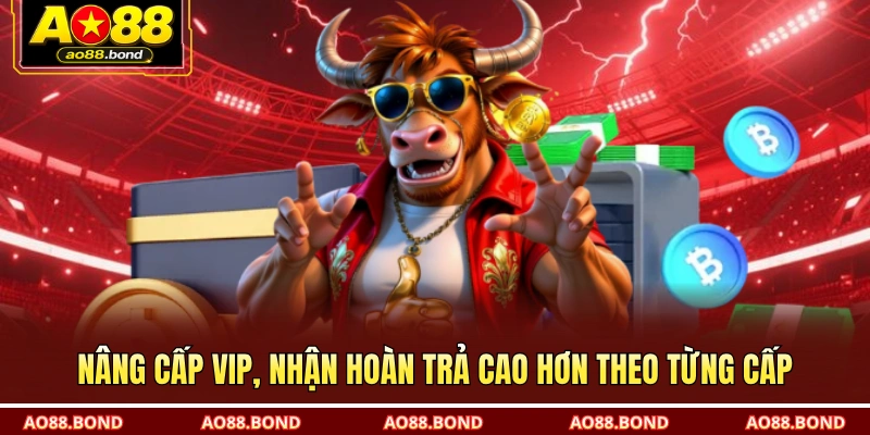 Nâng cấp VIP, nhận hoàn trả cao hơn theo từng cấp